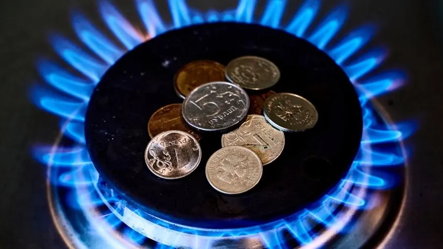 За какие нарушения с газовой плитой могут выписать штраф в 2024 году
