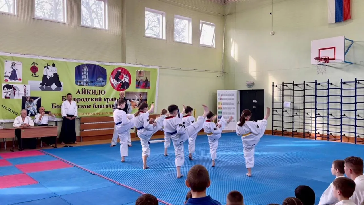 Тхэквондисты спортшколы «Черноголовка» приняли участие в фестивале боевых искусств