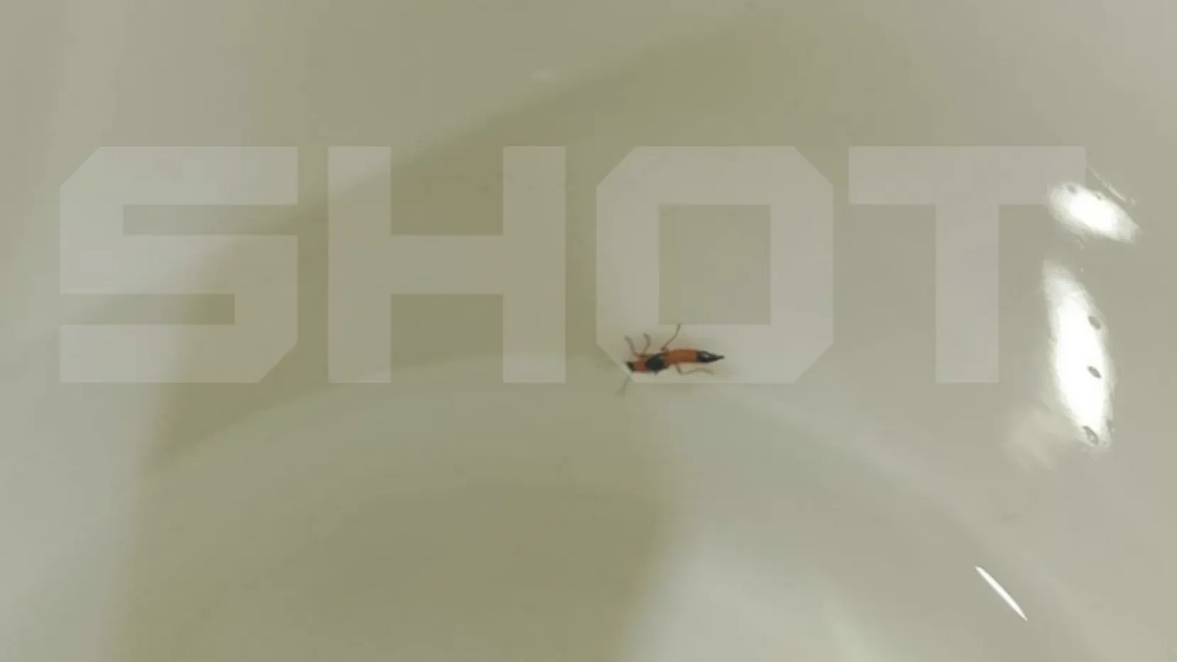 SHOT