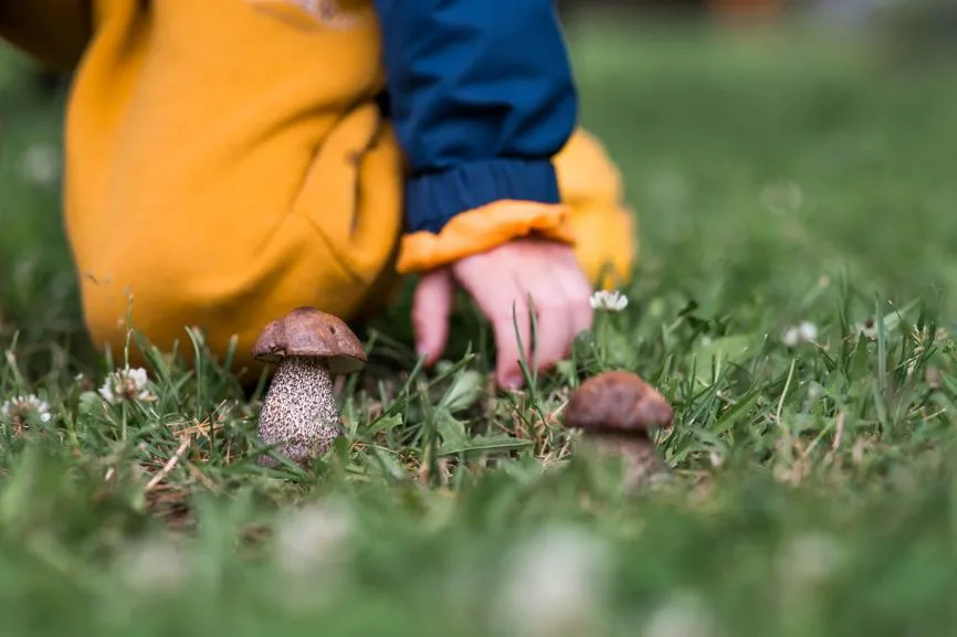 Photojuli / Фотобанк Лори