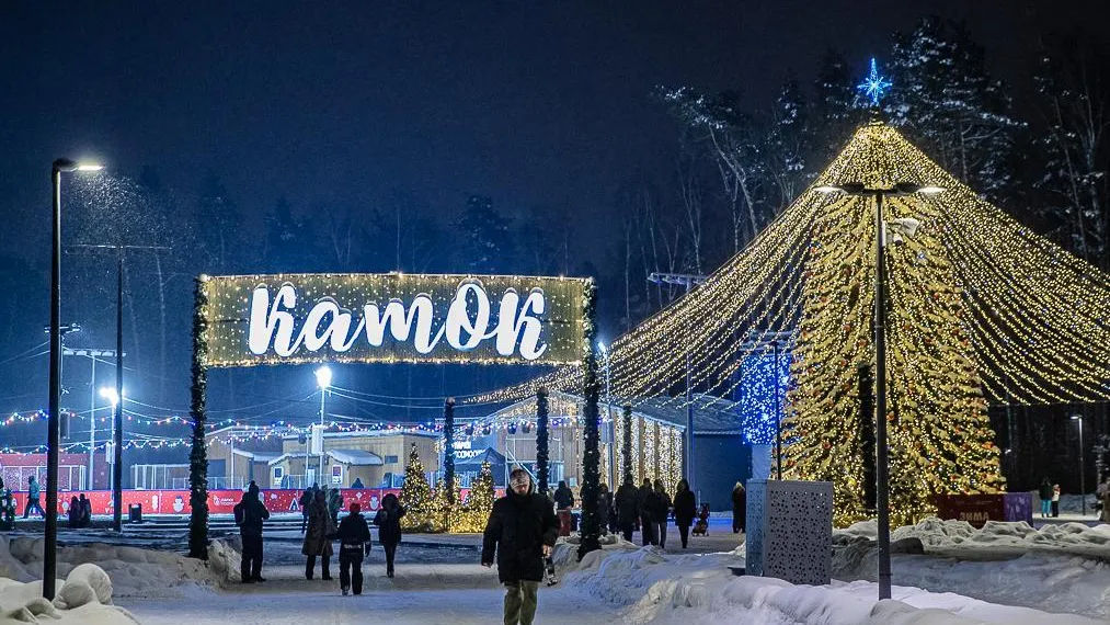 С 31 декабря по 1 января в парках Подмосковья побывало более 292 тыс. человек