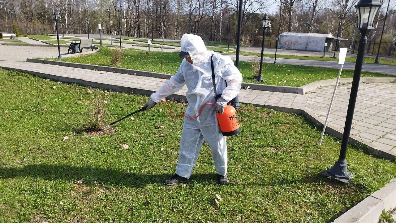 Парк Покровский в Сергиево-Посадском округе открылся после акарицидной обработки