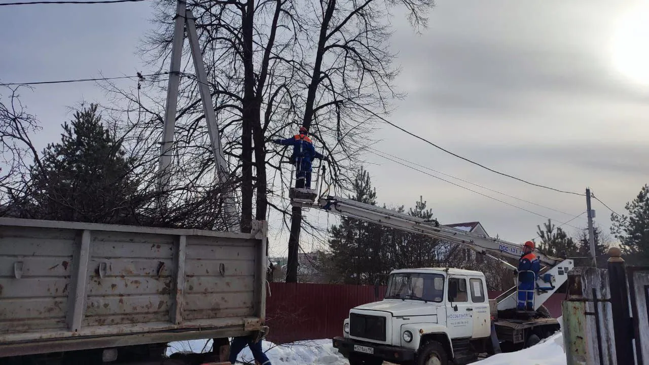 Энергетики приступили к расчистке охранных зон ЛЭП на территории Подмосковья