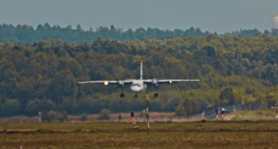 Известный хирург Майзель летел в самолете Ан-24, разбившемся в Амурской области