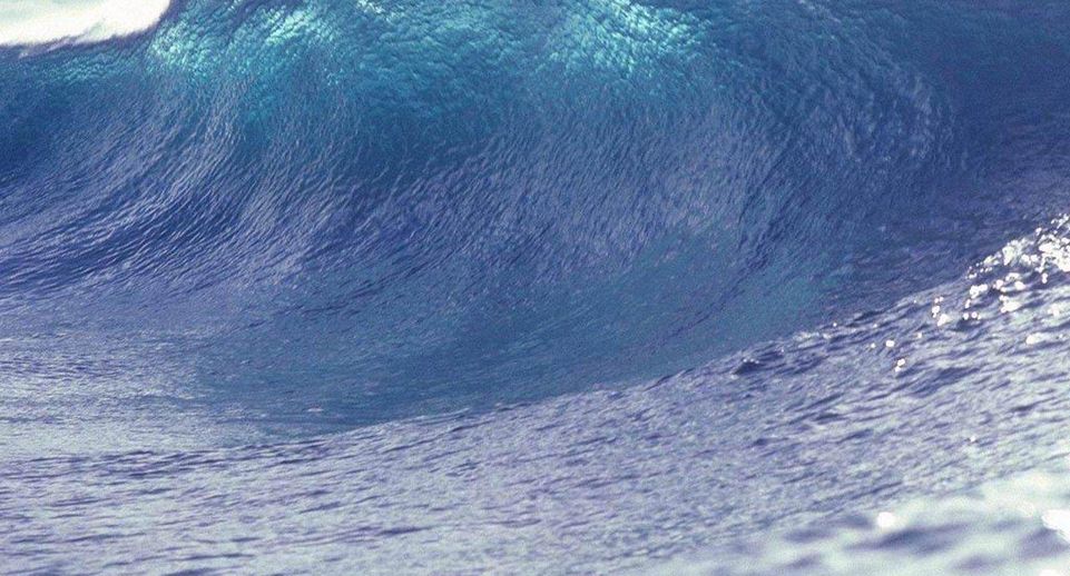 Волна цунами после мощного землетрясения на Камчатке достигла почти 18 метров