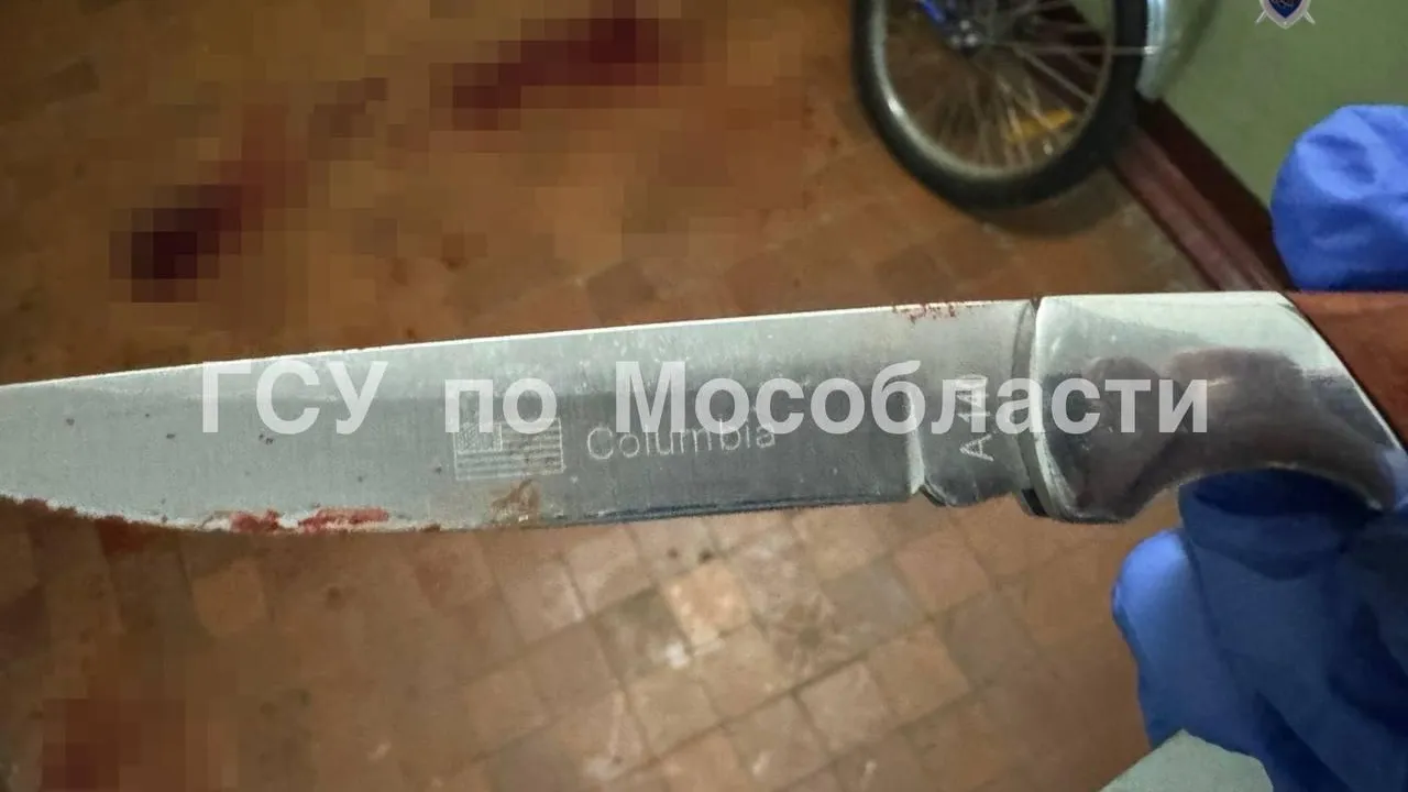 Официальный канал ГСУ СК России по Московской области