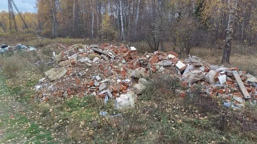 Завалы мусора и стройотходов выявили в деревне Витенево Мытищ