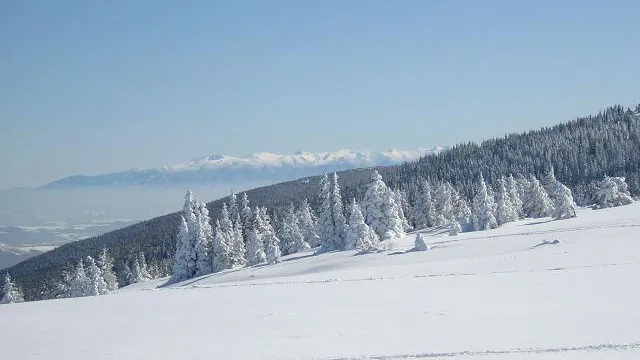 Загадочная смерть в горах: в Болгарии нашли останки 5 мужчин и подростка