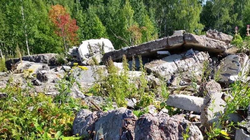 Более 90 кубометров отходов вывезли с незаконных свалок в Люберцах за неделю