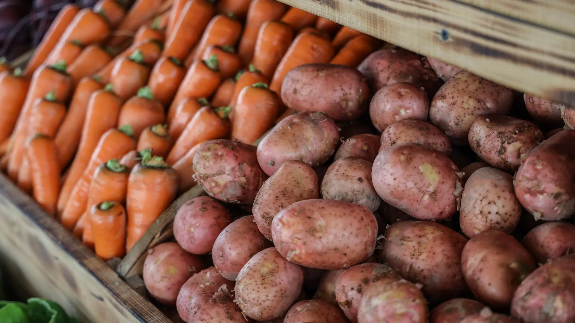 Фермеры со всей России представят продукцию на 215 ярмарках Подмосковья