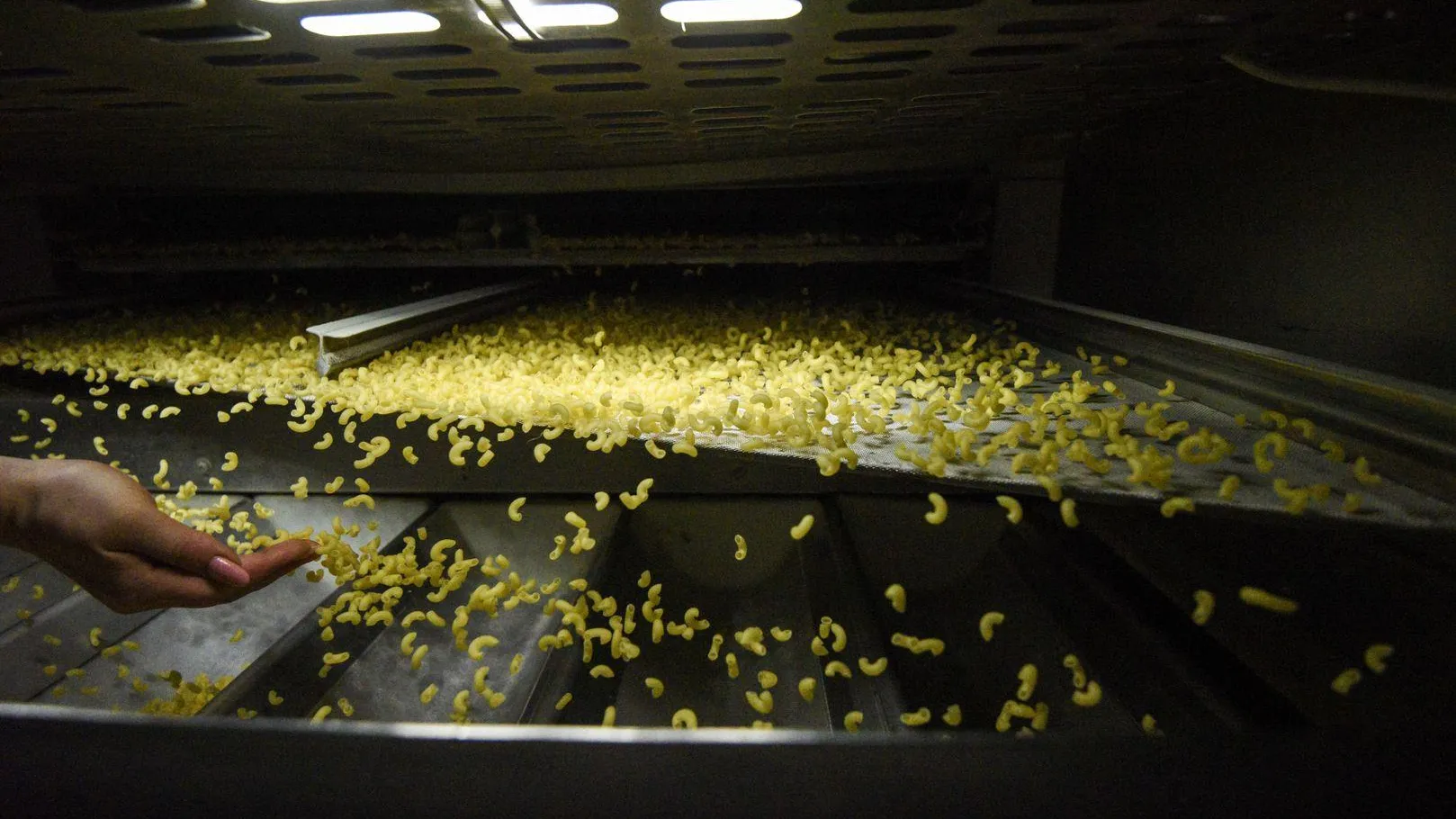 Подмосковье увеличило производство макаронных изделий до 328 тысяч тонн в 2025 году