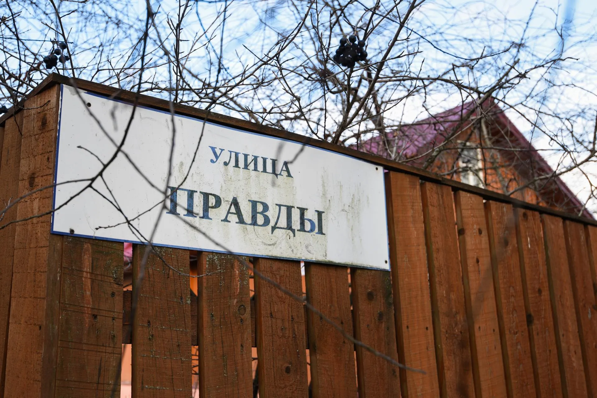 Пелагия Тихонова