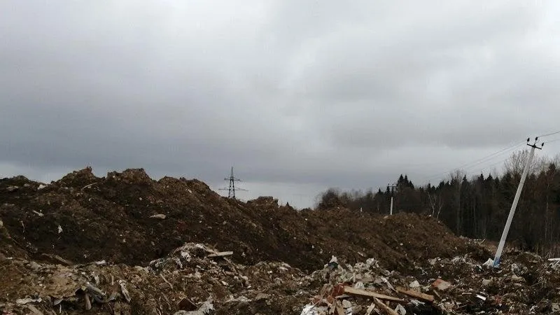Незаконная свалка в Дмитровском округе нанесла ущерб нарушителям в 650 тыс рублей