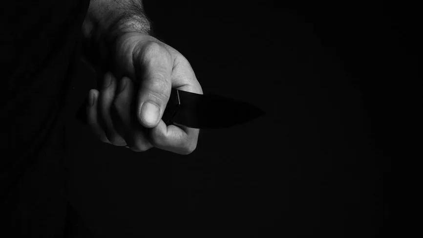 Дедушка зарезал свою внучку и правнучку из-за дачного участка в Красноярске