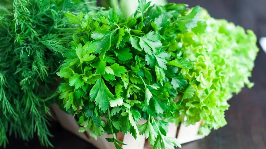 Листовая зелень, салаты, мясо – самые опасные продукты в магазине – врач
