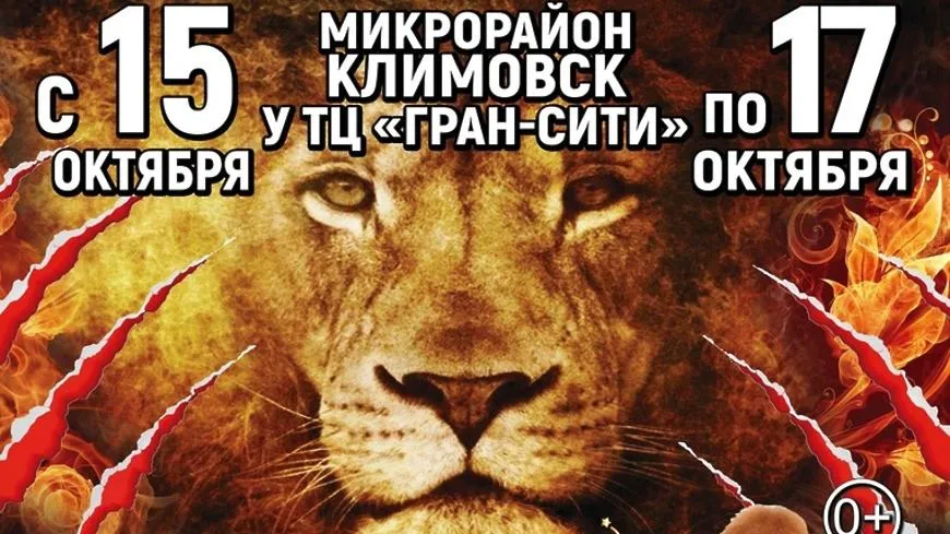 Представления цирка‑шапито «Союз» пройдут в Подольске 15–17 октября