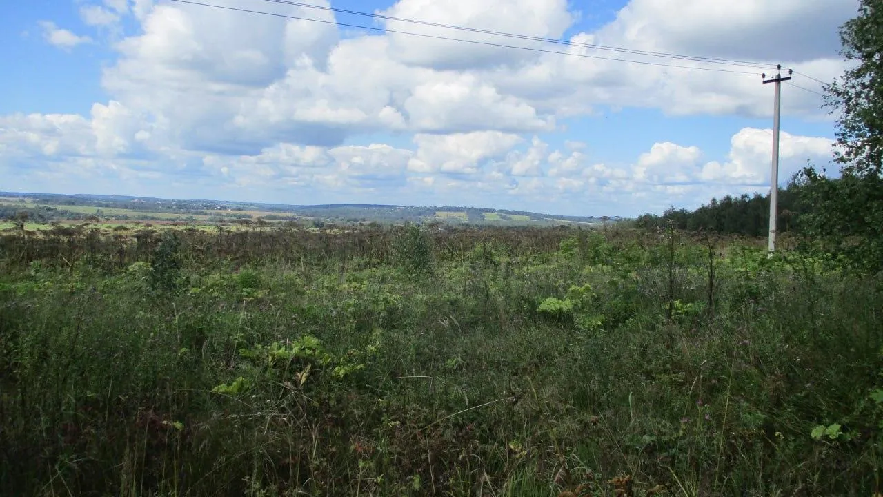 Недобросовестные землевладельцы лишатся сотен гектаров сельхозугодий в Подмосковье