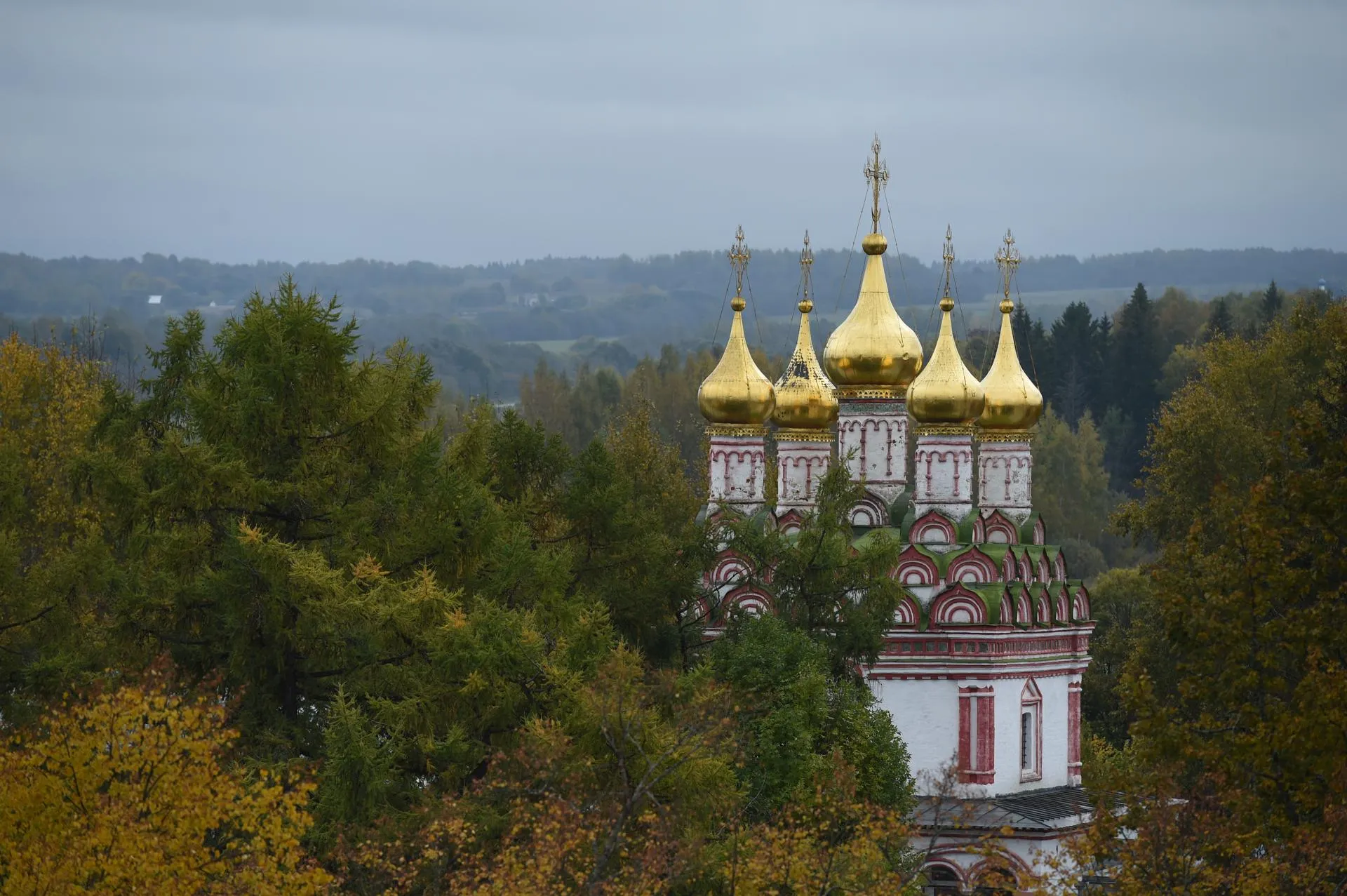 Анастасия Осипова