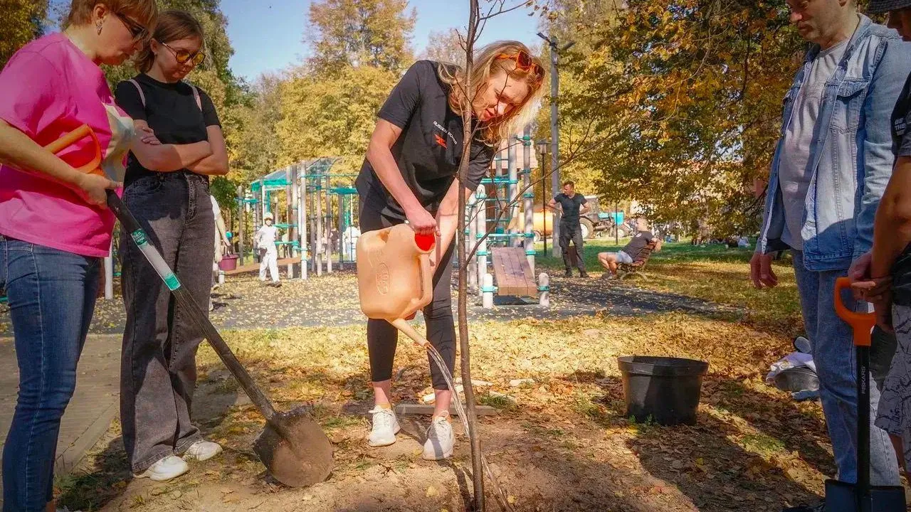 Липовые аллеи высадили в парке «Скитские пруды» Сергиево‑Посадского округа