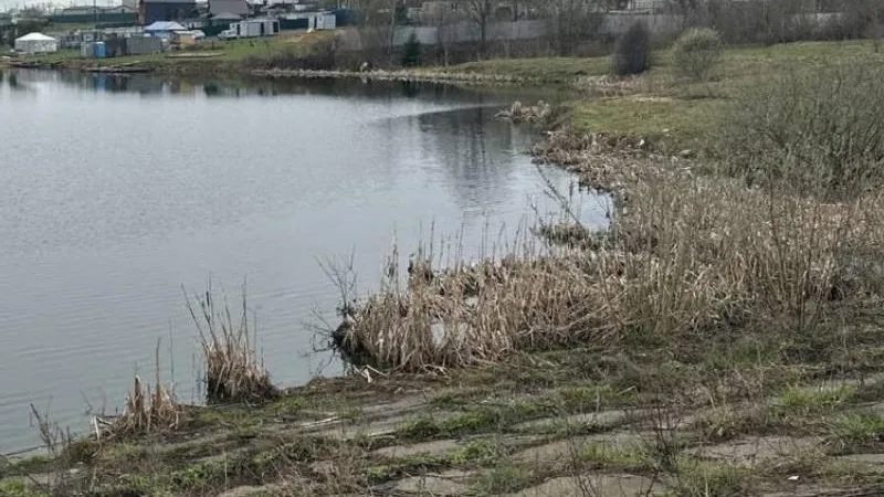 Жительницу Щелкова предостерегли от загрязнения водоохранной зоны реки Учи