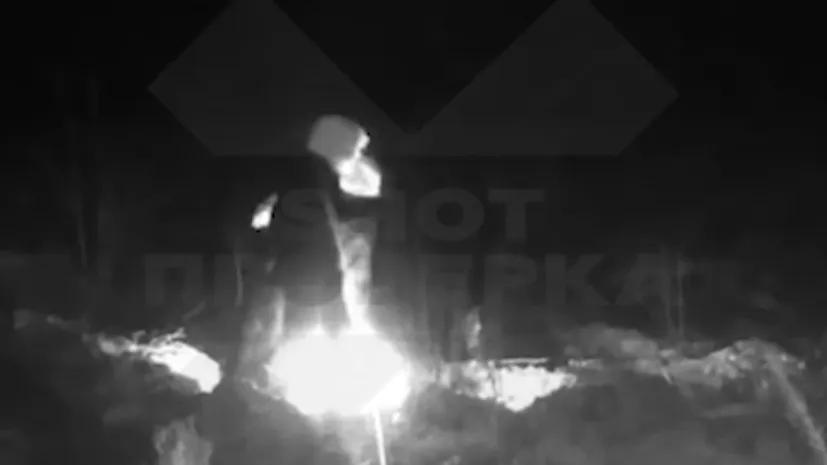 «Ведьмы» в колпаках устроили шабаш в российском заповеднике: экологи шокированы