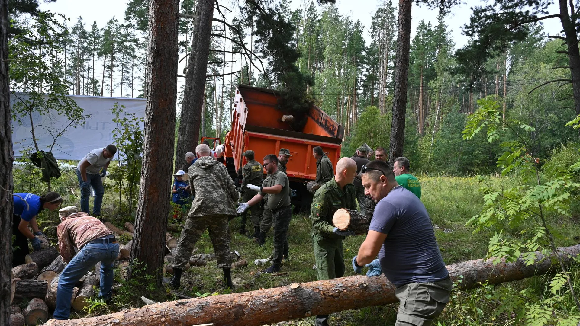 Щелково и Серпухов приняли участие в экологической акции «Чистый Лес»