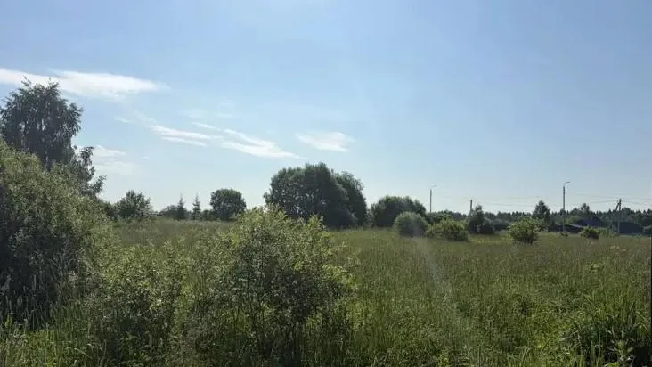 В Подмосковье за неделю выставили на торги 215 объектов