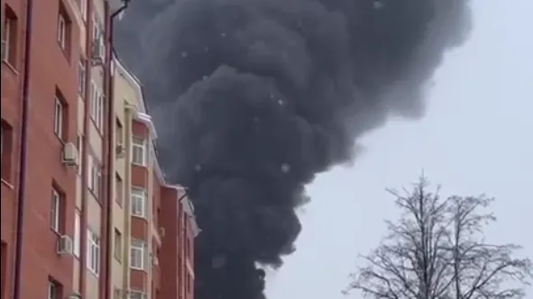 МЧС РФ: пожар во Фрязине полностью потушен