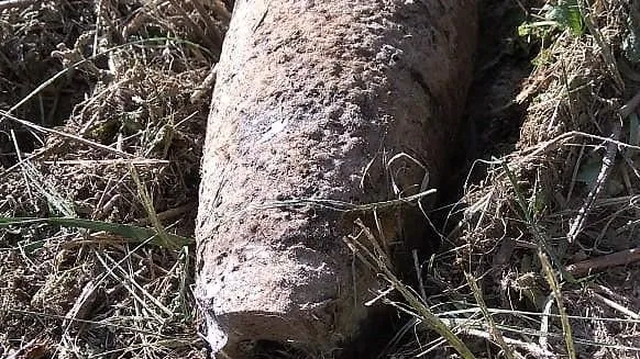 Взрывотехники обезвредили боеприпас времен ВОВ в Волоколамске