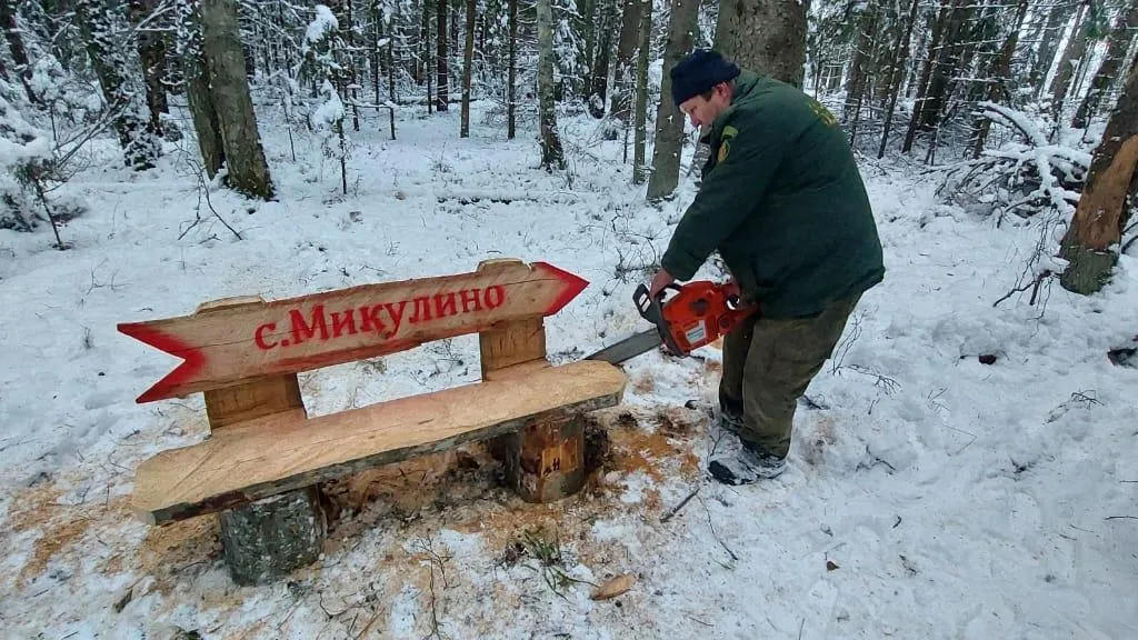 Более 60 лавочек-навигаторов установили в лесах Подмосковья в прошлом году