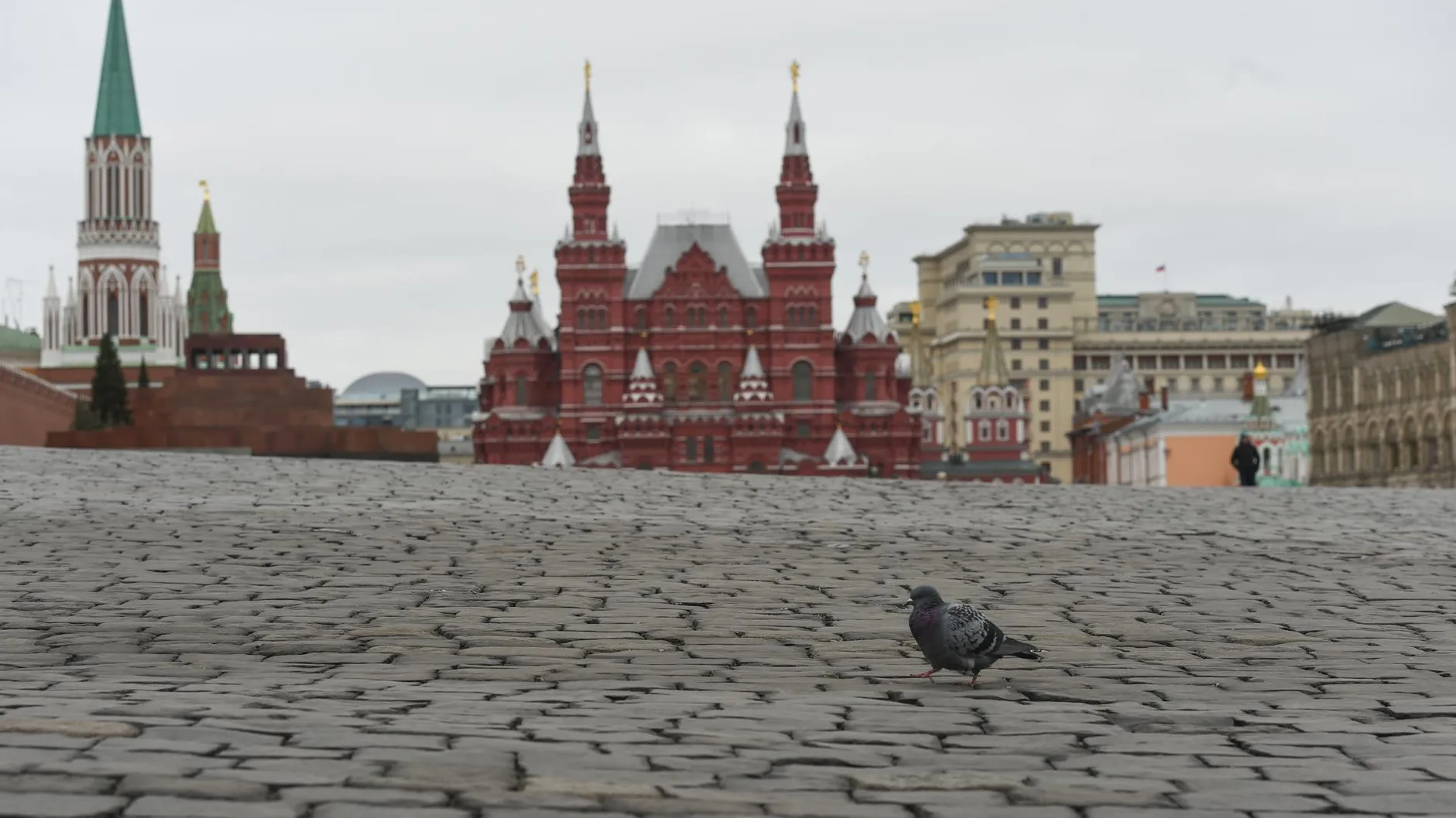 До плюс 8 градусов ожидается в Московском регионе в понедельник