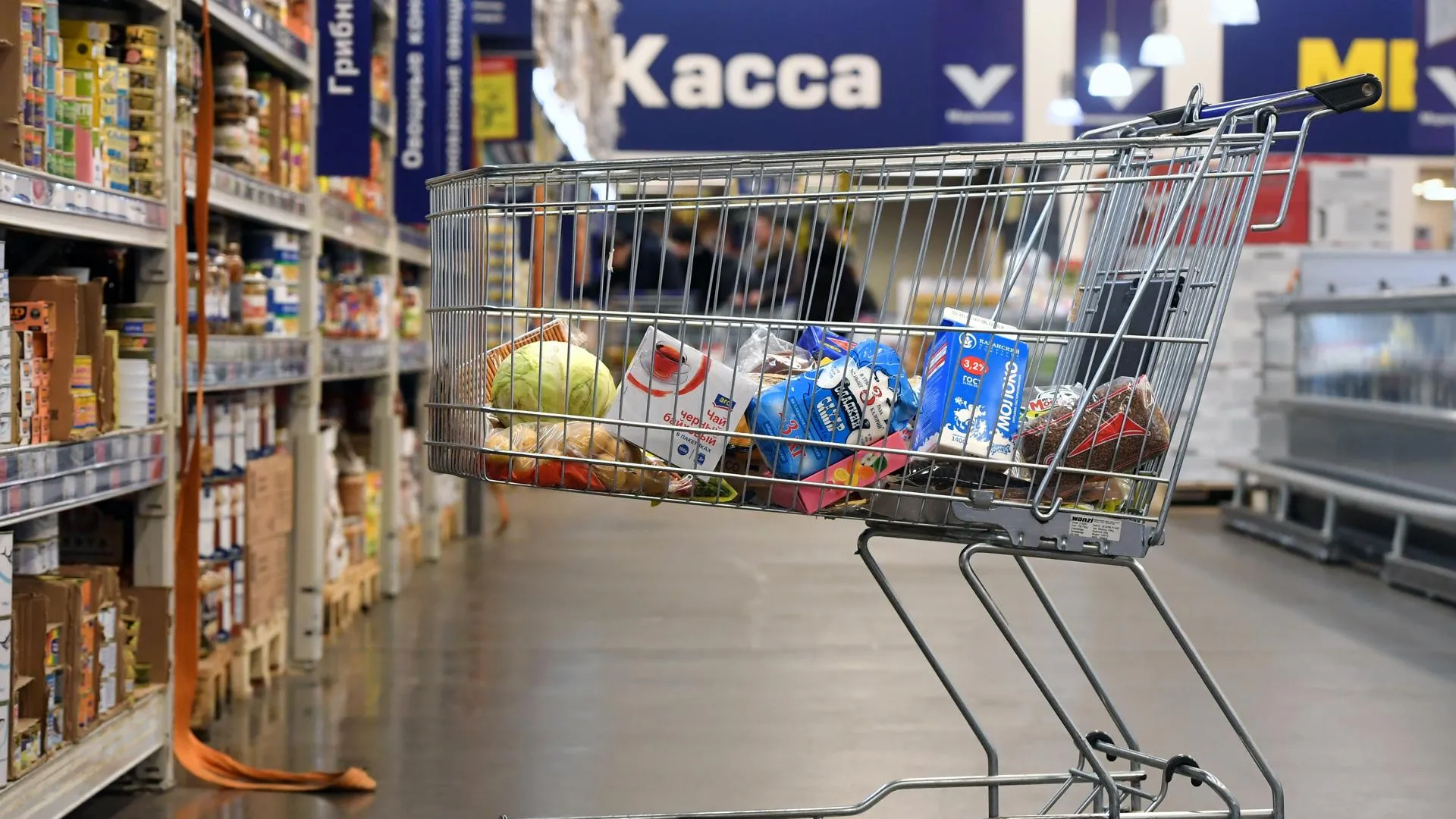 Акция по сбору продуктов для нуждающихся пройдет в Орехово‑Зуевском округе 13 и 28 ноября