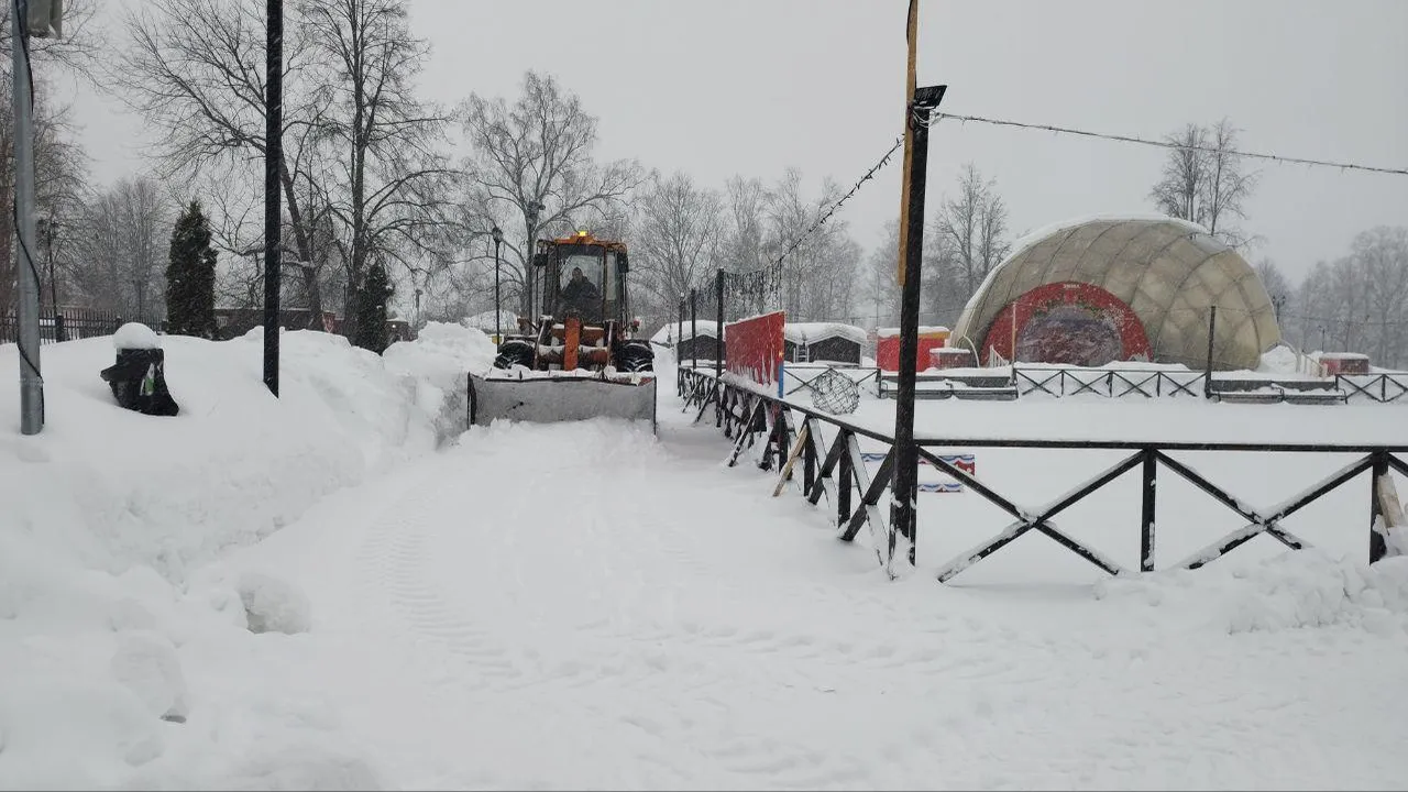 В парках Подмосковья убрали более 54 тыс куб м снега за прошедшую неделю
