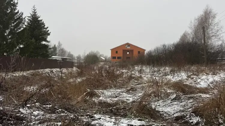 В Волоколамском округе сдали участок за 25 тыс рублей в год