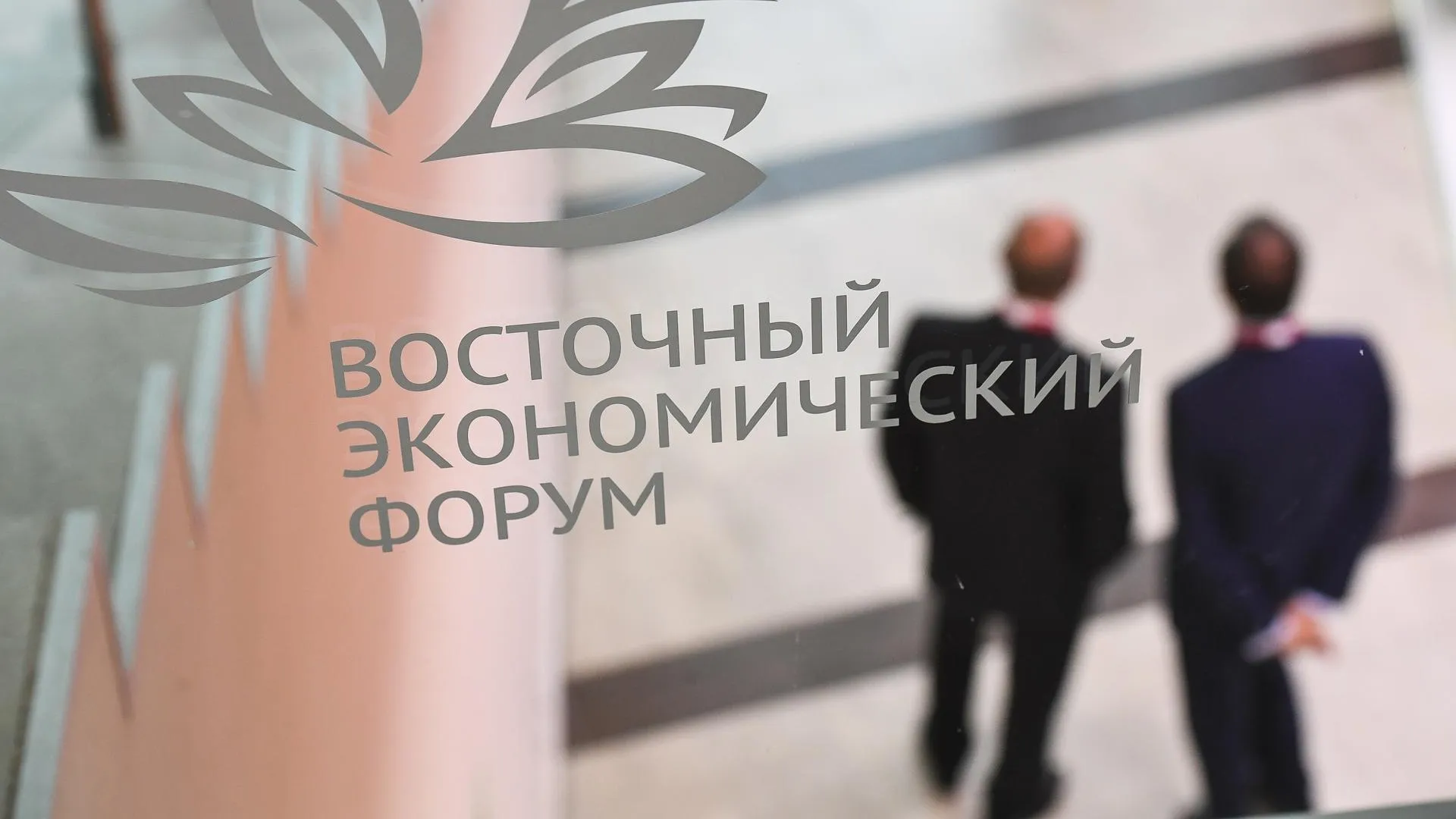 Делегация Московской области примет участие в работе V Восточного экономического форума