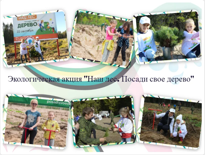 сайт наше-подмосковье.рф