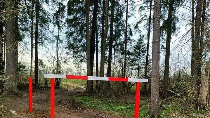 Шлагбаумы и фотоловушки установят в лесничествах Подмосковья