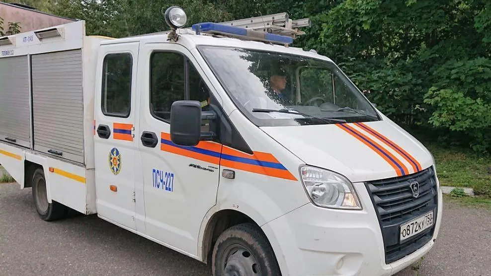 6 заблудившихся вывели из лесов Подмосковья за сутки