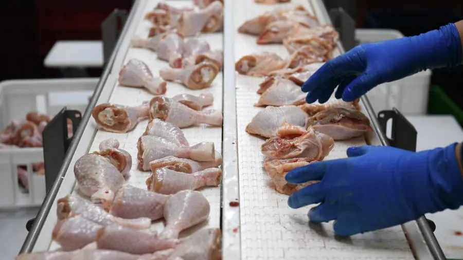 В России впервые за несколько лет упало производство мяса птицы