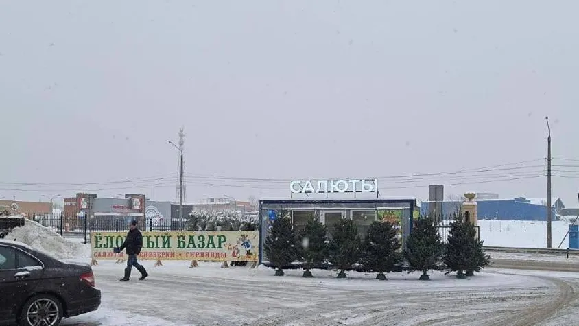 В Истре откроется 6 елочных базаров 20 декабря