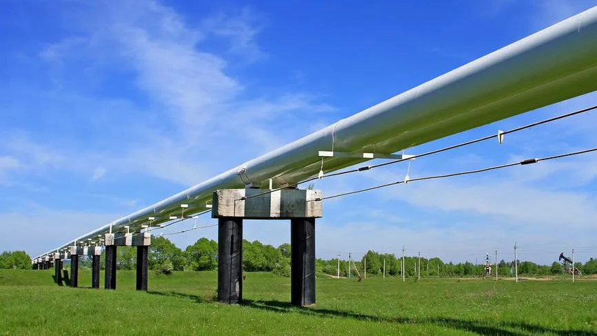 Сербия попросила Россию помочь с отводом к нефтепроводу «Дружба»