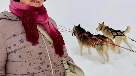 Долголеты из Сергиева Посада прокатились на собачьих упряжках в этнопарке «Кочевник»