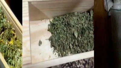 Около 6,5 кг конопли изъяли у мужчины в Ленинском округе