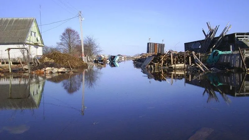 Уровень воды в реках Подмосковья может подняться выше нормы во время половодья
