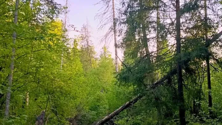 В Одинцовском округе разработают 6-километровый турмаршрут