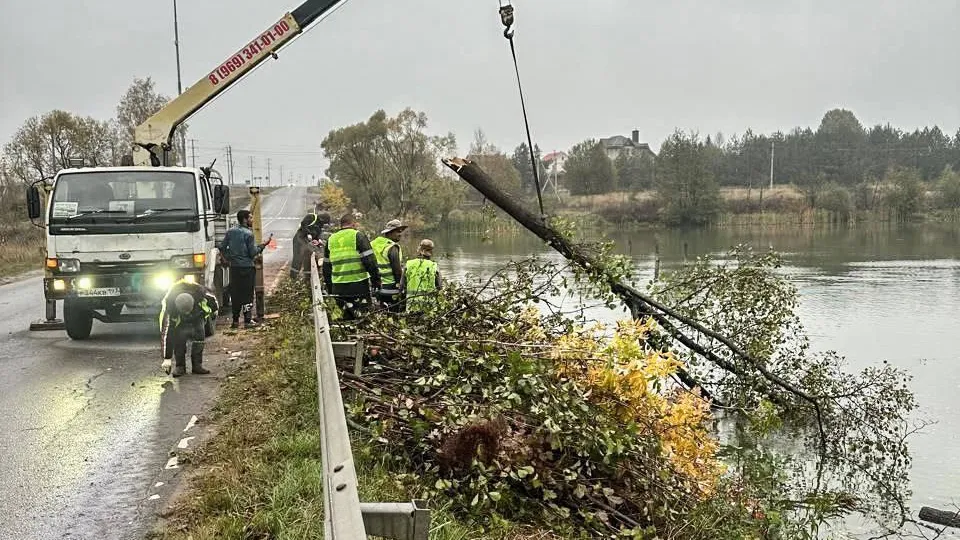 Глава Домодедова рассказала о капительном ремонте плотин в городском округе