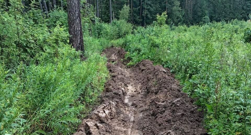 Сотрудники Звенигородского лесничества создали более 40 км минерализованных полос