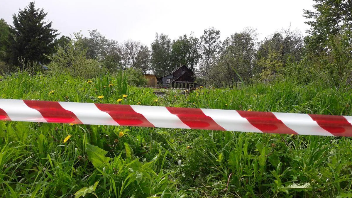 В Подмосковье смогут изъять земельный участок за неиспользование по назначению