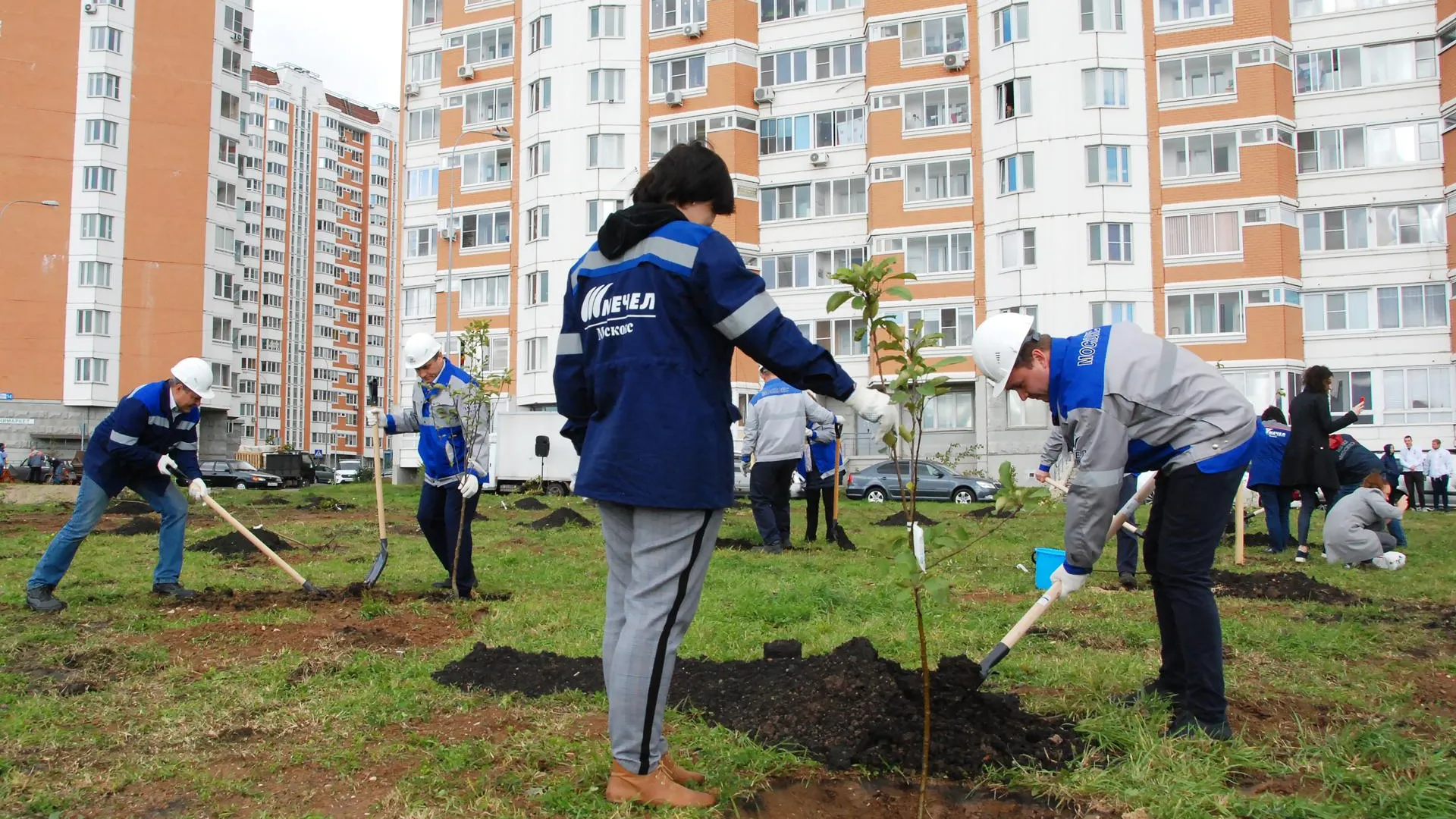 Сотрудники «Москокса» высадили деревья в Видном