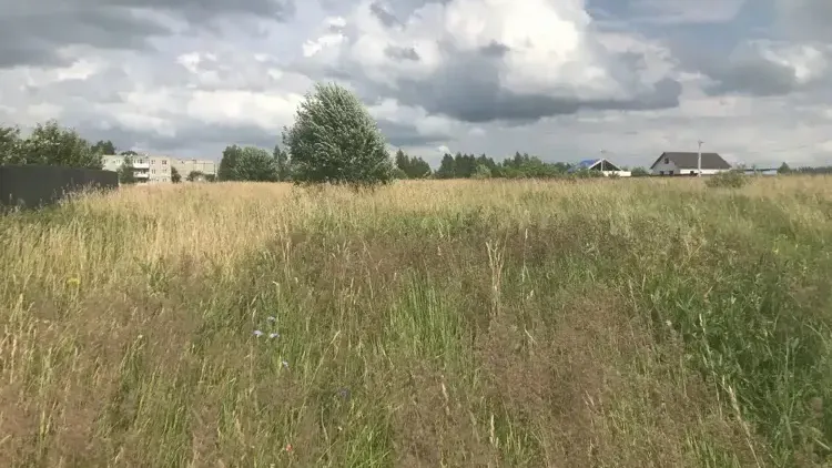 В Подмосковье за полгода продали более 2100 объектов через торги